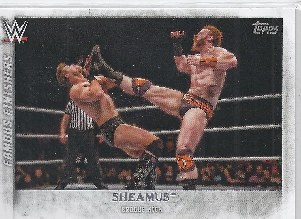 WWE2015UFF05_2015_topps_wwe_undisputed_famous_finishers_sheamus_FF10.jpg