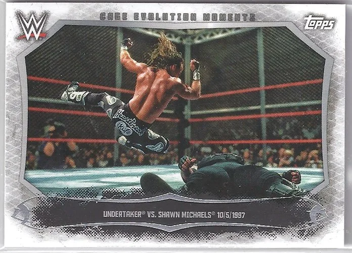 WWE2015UFF16_2015_topps_wwe_undisputed_famous_finishers_shawn_michaels_FF1.jpg