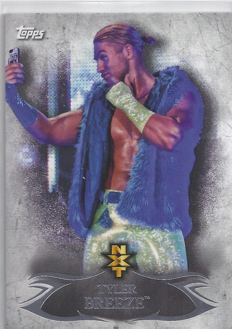 2015_topps_wwe_undisputed_nxt_tyler_breeze_NXT12.jpeg