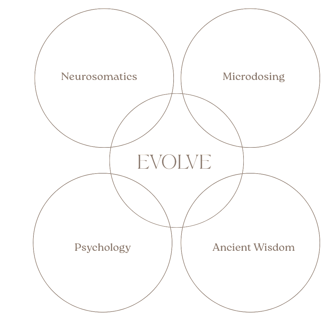 A Venn diagram with five circles labeled Neurosomatics, Microdosing, Psychology, Ancient Wisdom, and the center marked Evolve.