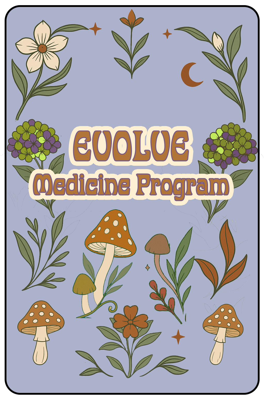 Cover of a publication titled "EVOLE Medicine Program" with illustrations of flowers, mushrooms, stars, and a crescent moon on a light purple background.