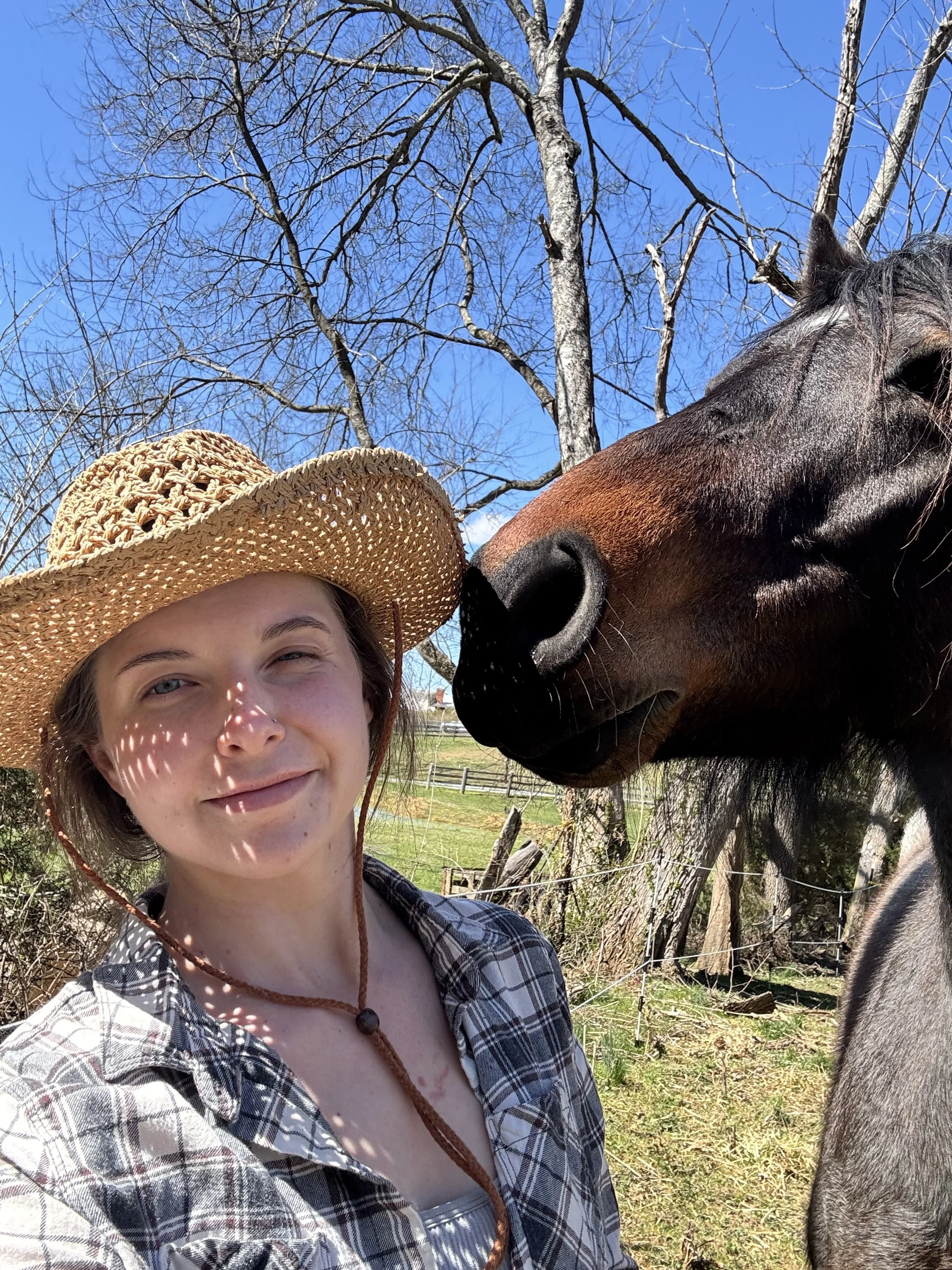 A woman wearing a straw hat smiles as a horse nuzzles her face outdoors on a sunny day with a blue sky and trees in the background.