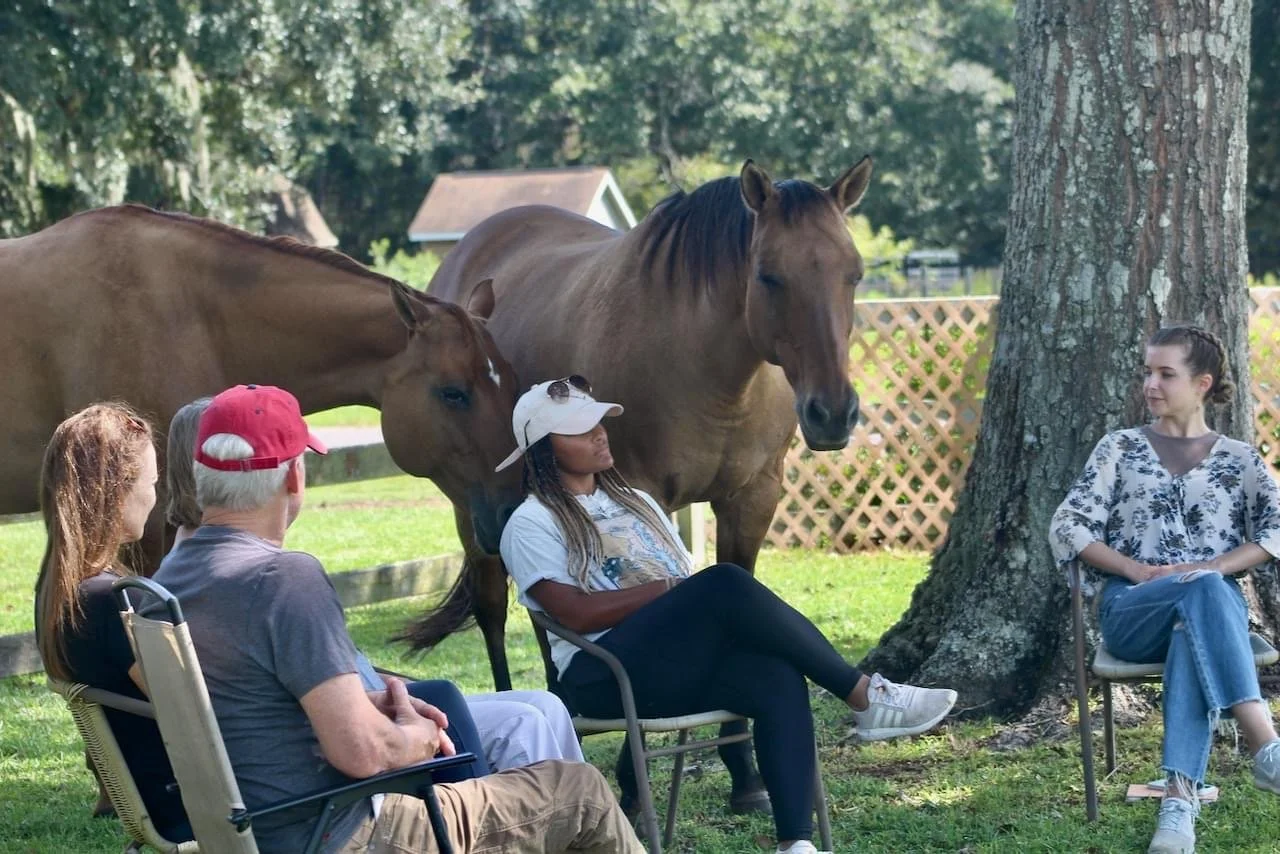 Four people sitting in chairs outdoors near a tree with two horses standing nearby.