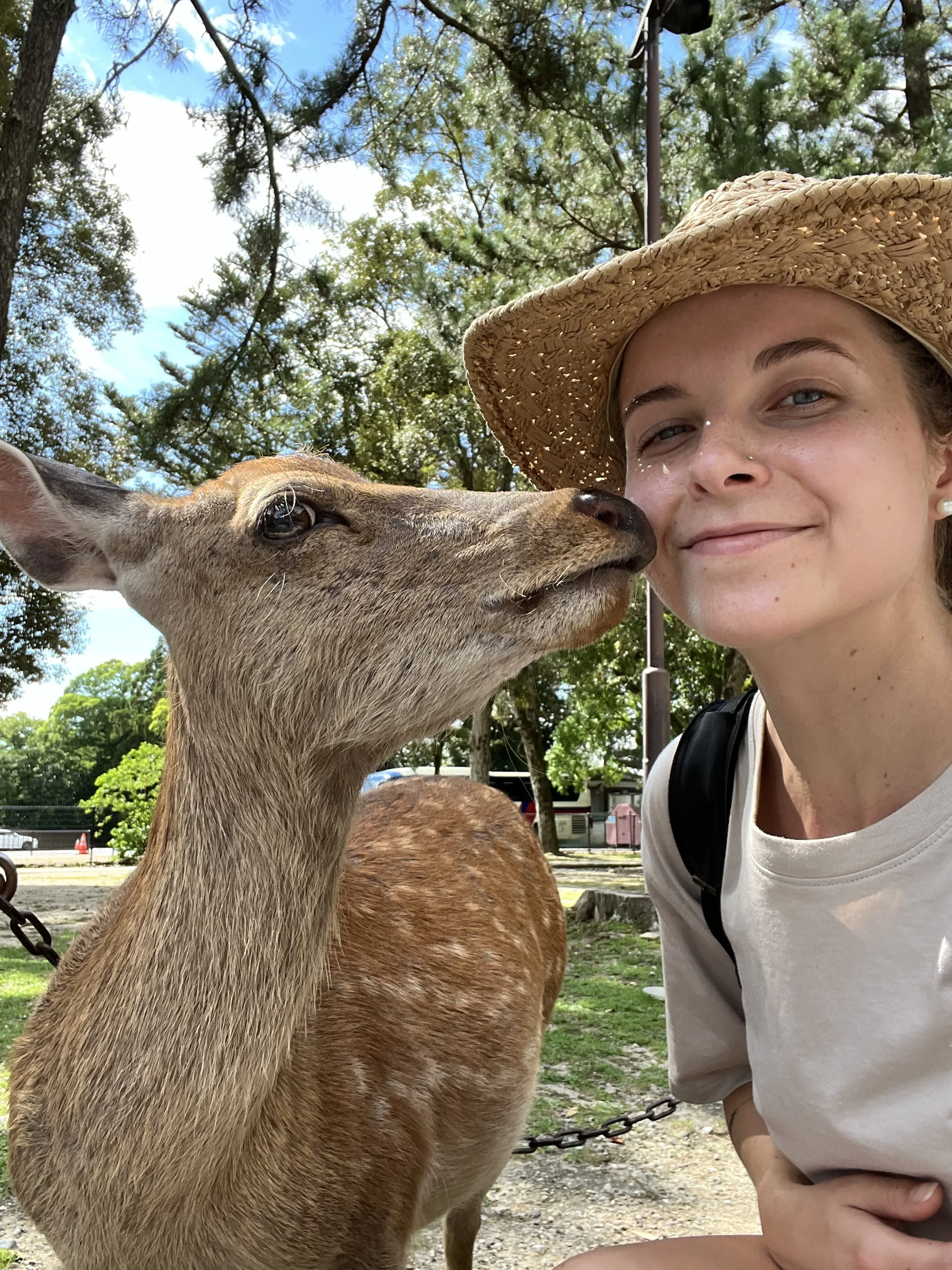 A woman smiling as a deer nuzzles her cheek in a park with trees in the background.