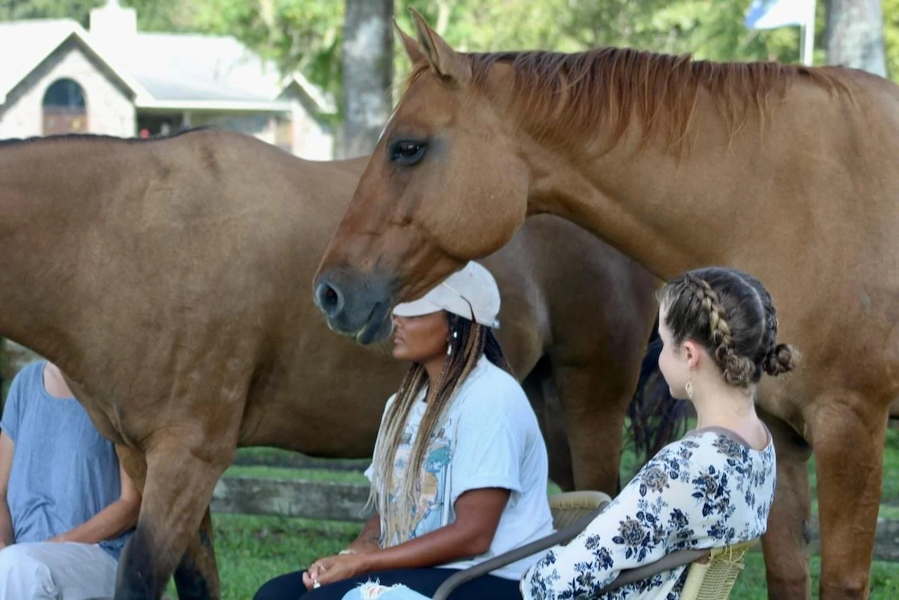 Two women sitting outdoors next to horses, one with long braided hair wearing a white blouse, the other with a side braid wearing a floral shirt.