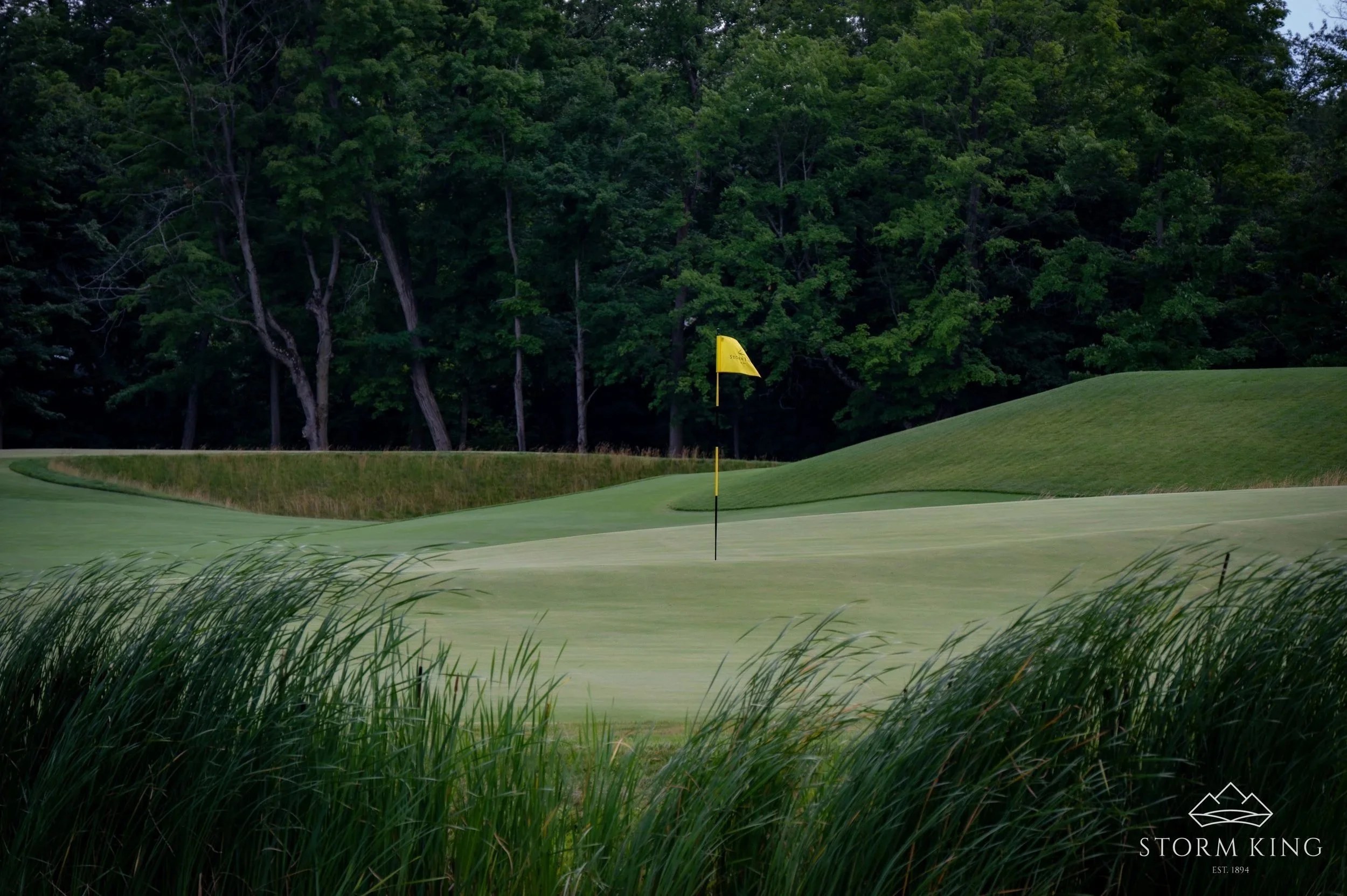 Horizontal+Yellow+Flag+Horseshoe.jpg
