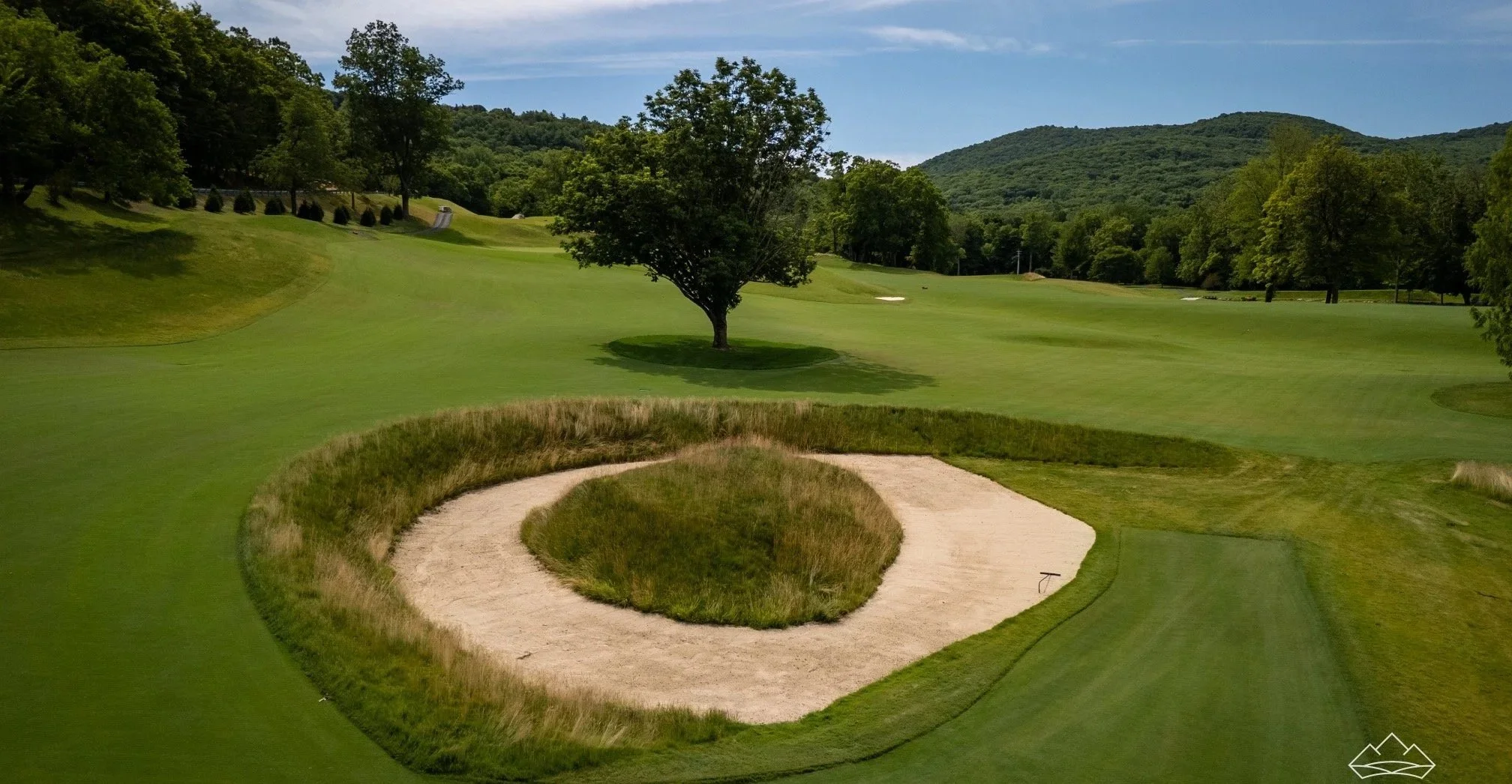 Donut+Bunker+and+Tree.jpg