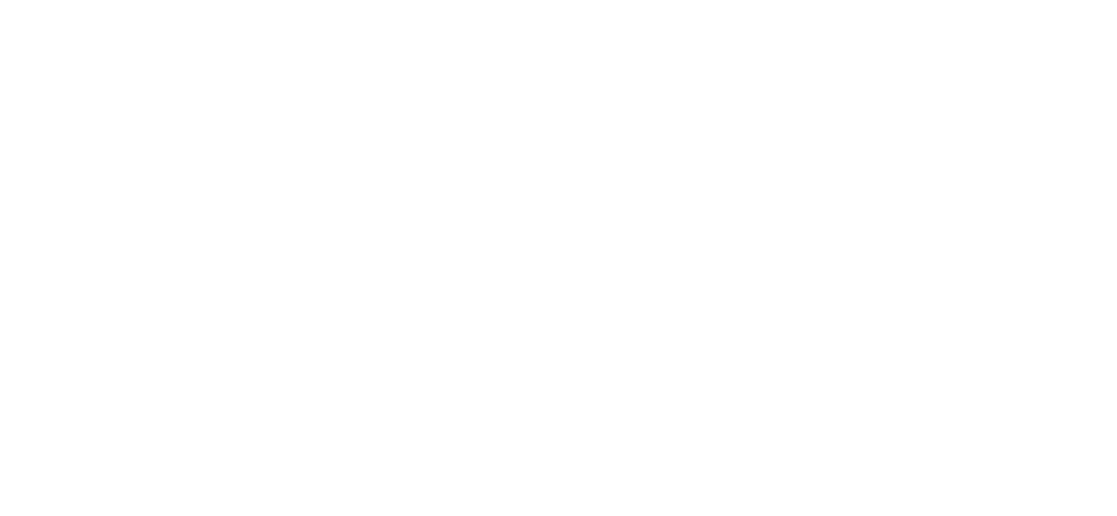 Picaroons logo