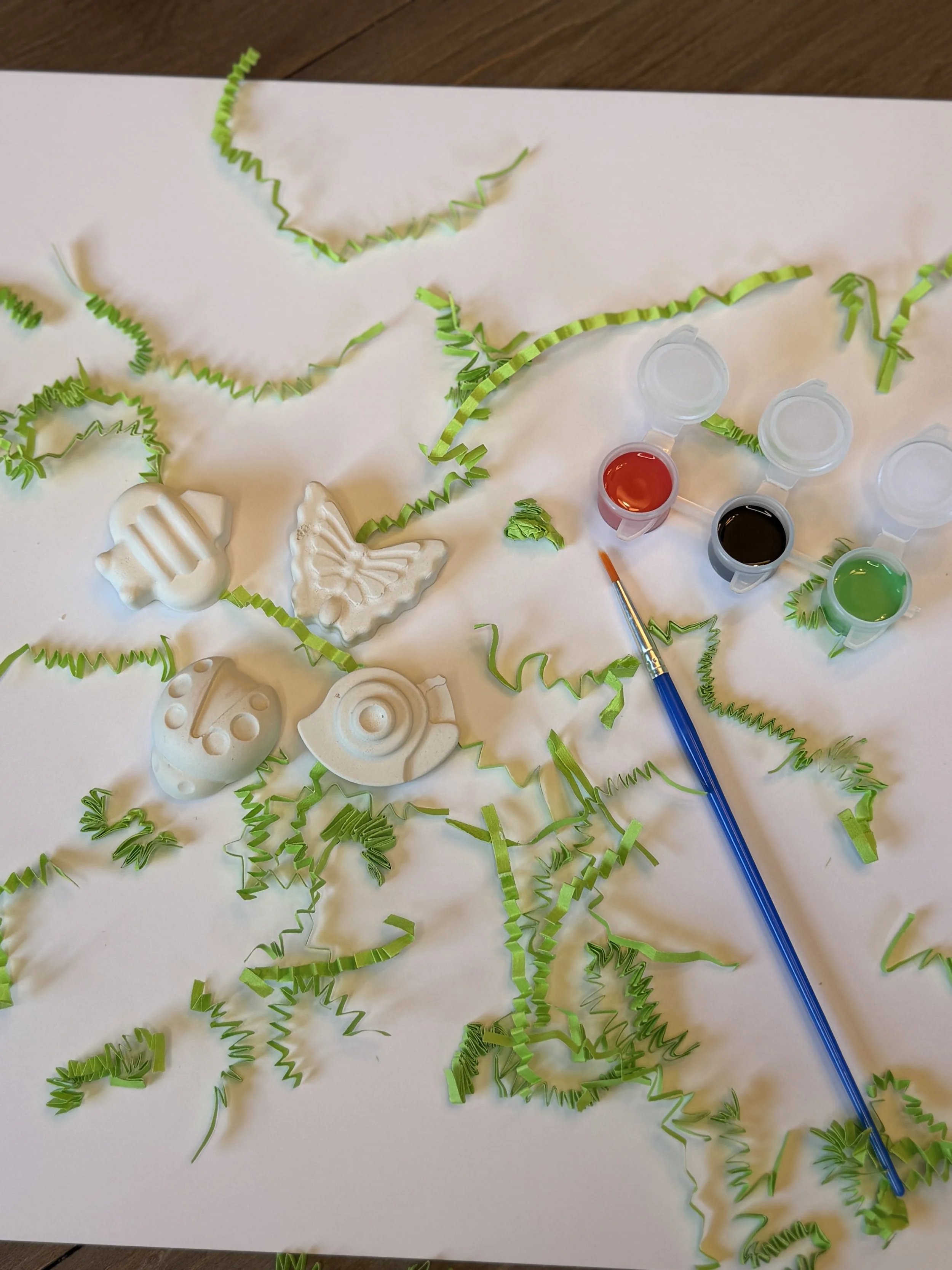 Mini Spring Plaster Paint Kit  (Magnet Add-On Available)