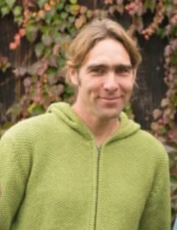 Ein Mensch steht auf einer Leiter und erntet Äpfel aus einem Apfelbaum im Garten bei bewölktem Himmel.