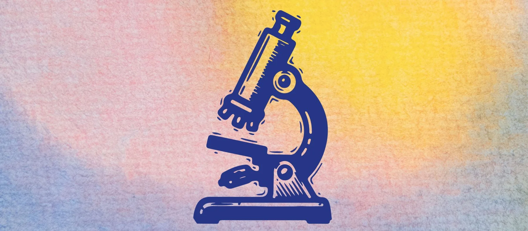 Lehrperson Naturwissenschaften Oberstufe (Klasse 7–9)