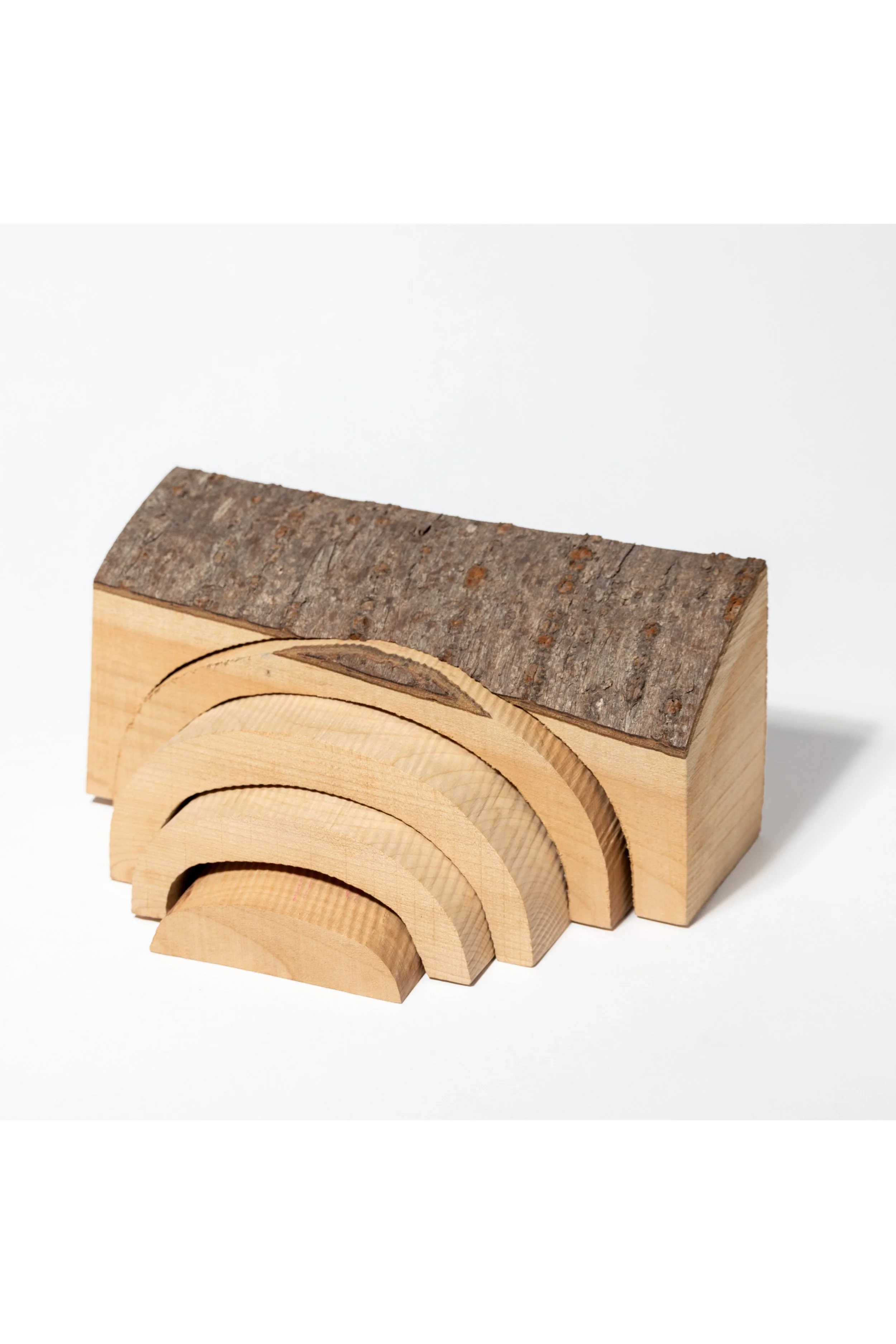 Holzstücke in verschiedenen Kurvenformen mit Baumrinde an der Oberseite, auf weißem Hintergrund.