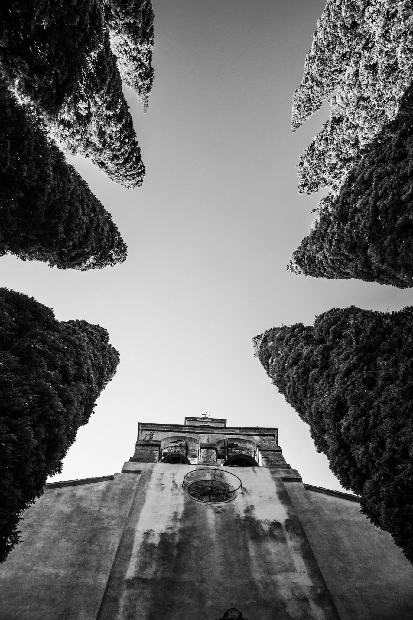 Wedding Istria Istra.jpg