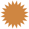 A brown button with a starburst shape.