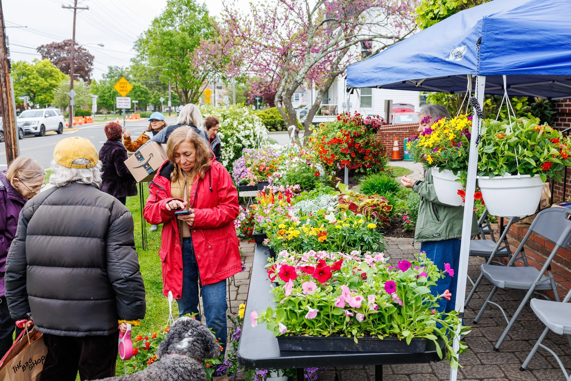 Garden Club Plant Sale 20240505-0009-medres.jpg