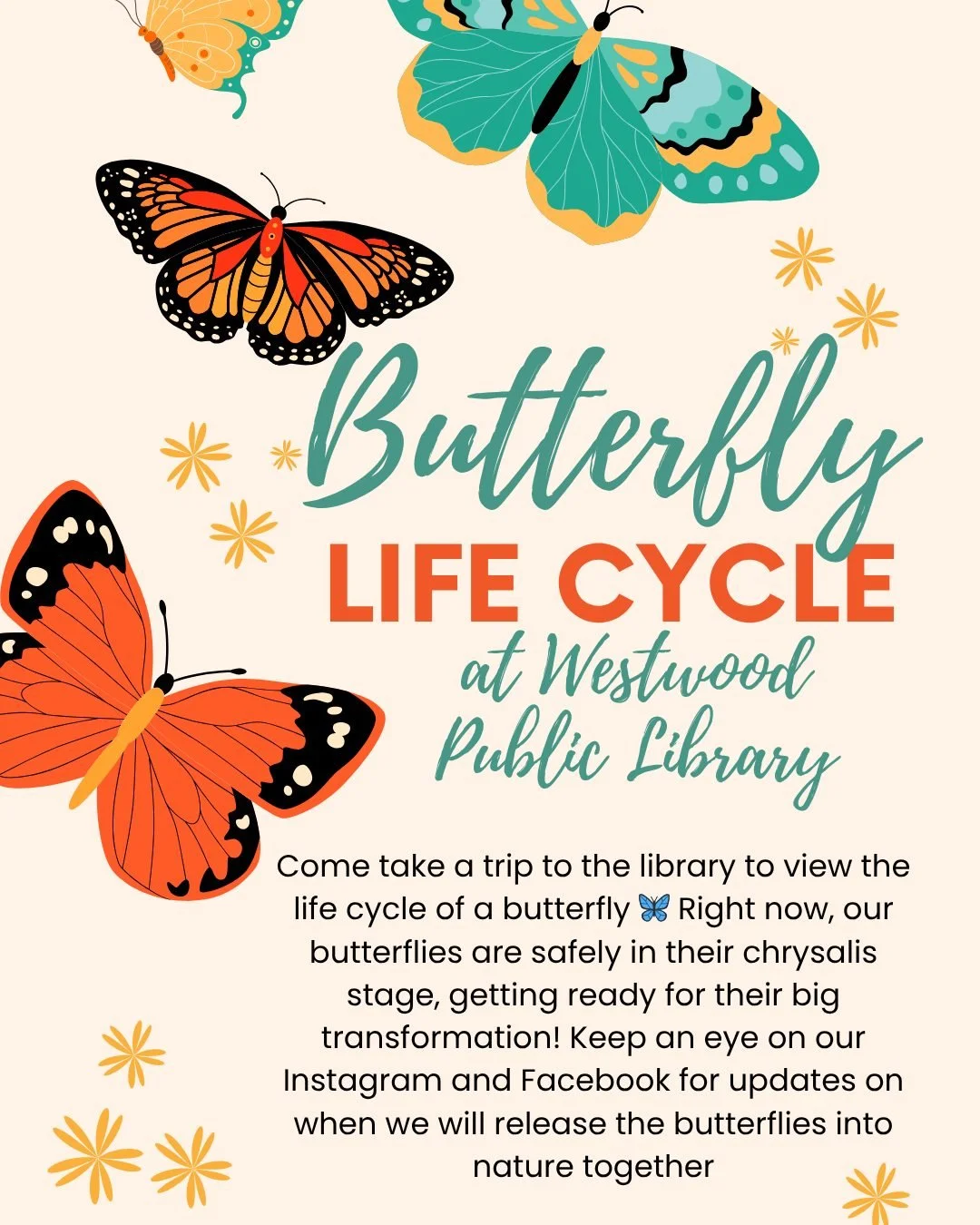 ⏩️🦋 Swipe to see our butterfly habitat 🦋⏩️ Come take a trip to the library to view the life cycle of a butterfly! Right now, our butterflies are safely in their chrysalis stage, getting ready for their big transformation! Keep an eye on our socials
