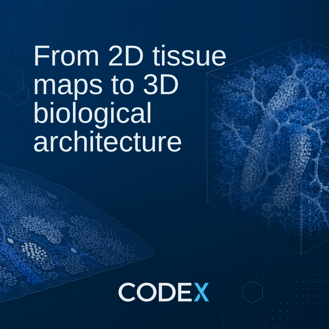 3D Spatial Biology: Why the Next Dimension Matters