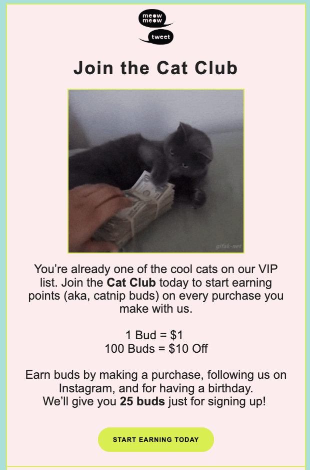 Email marketing for loyalty program