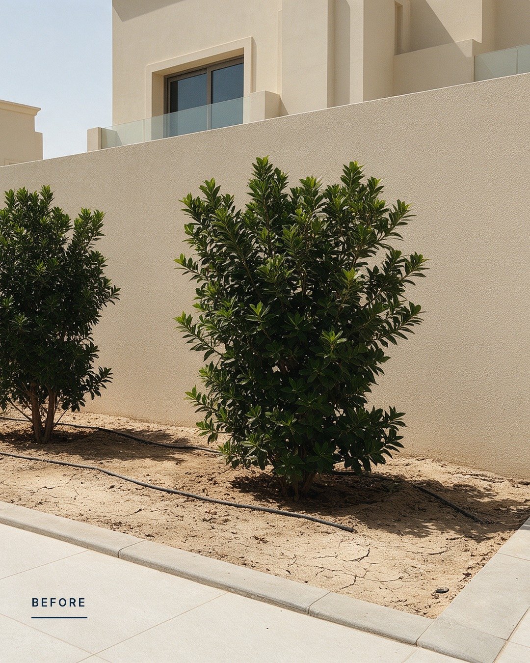 Look at the first photo and name what's missing. Most people say a plant.

It isn't a plant. The bed is planted, edged and irrigated. What's missing is the cover over the soil between the plants &mdash; and in this climate that bare surface is the pa