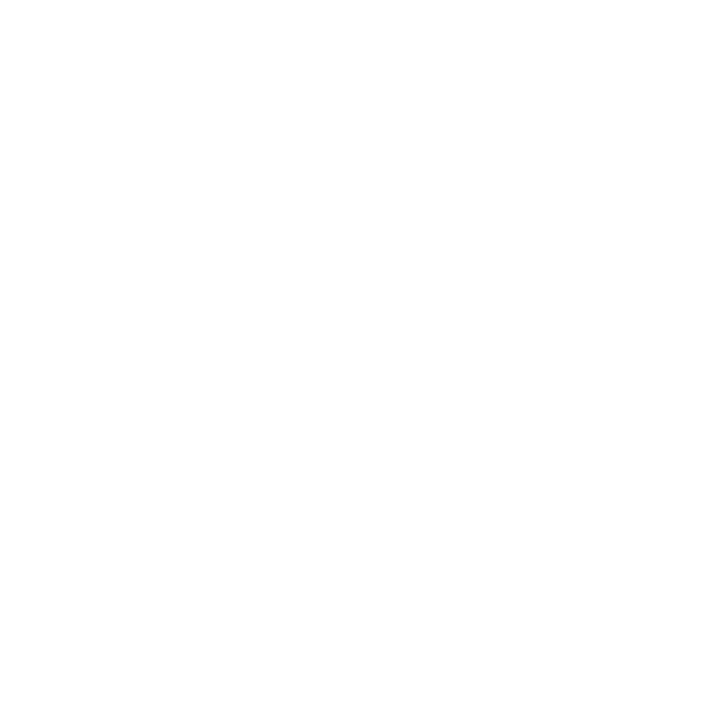 Icône d'une lampe de poche en blanc sur un fond noir, avec des rayons lumineux émanant de celle-ci.