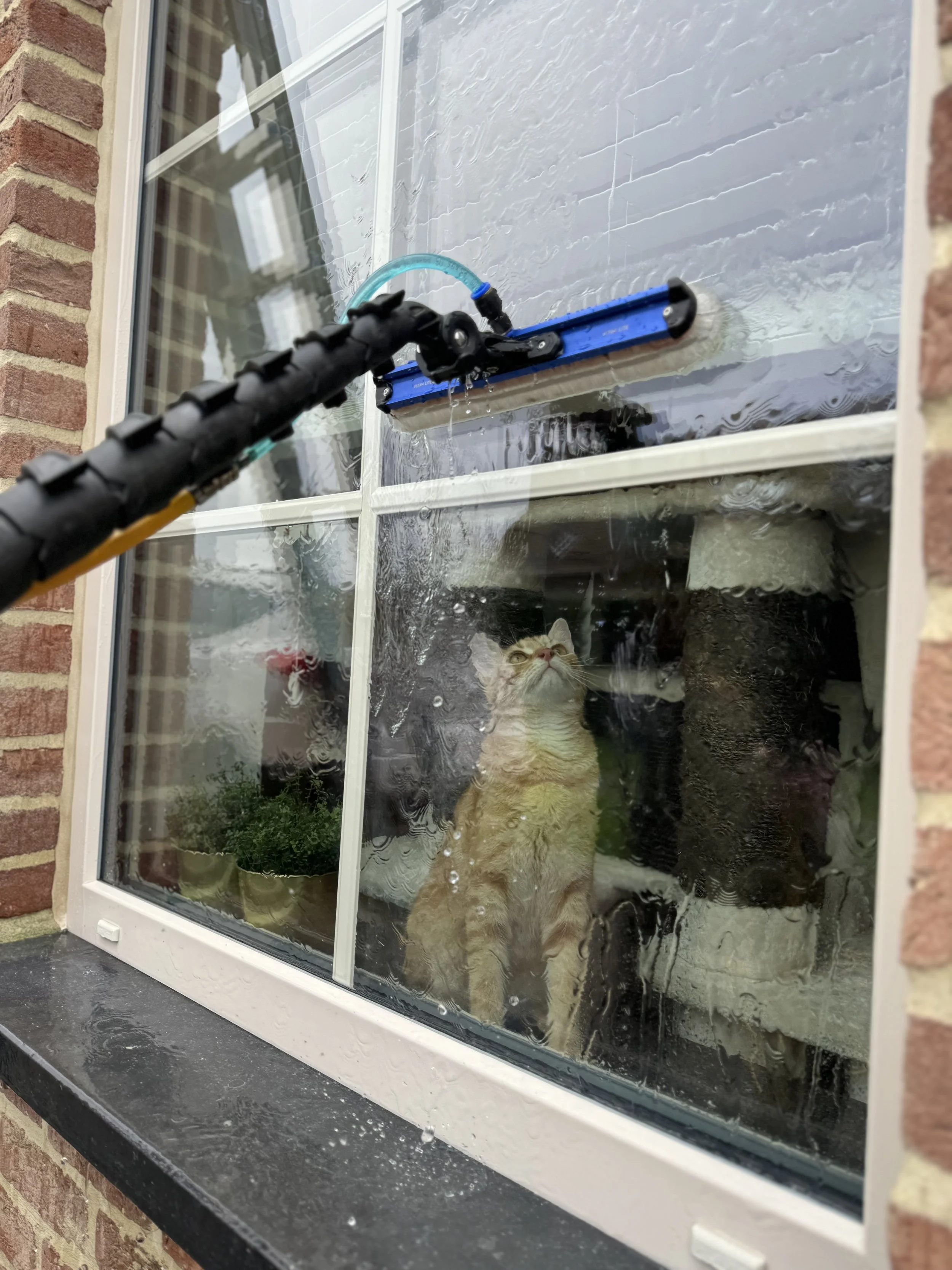 Een raam wordt schoongemaakt met een osmose reiniging.