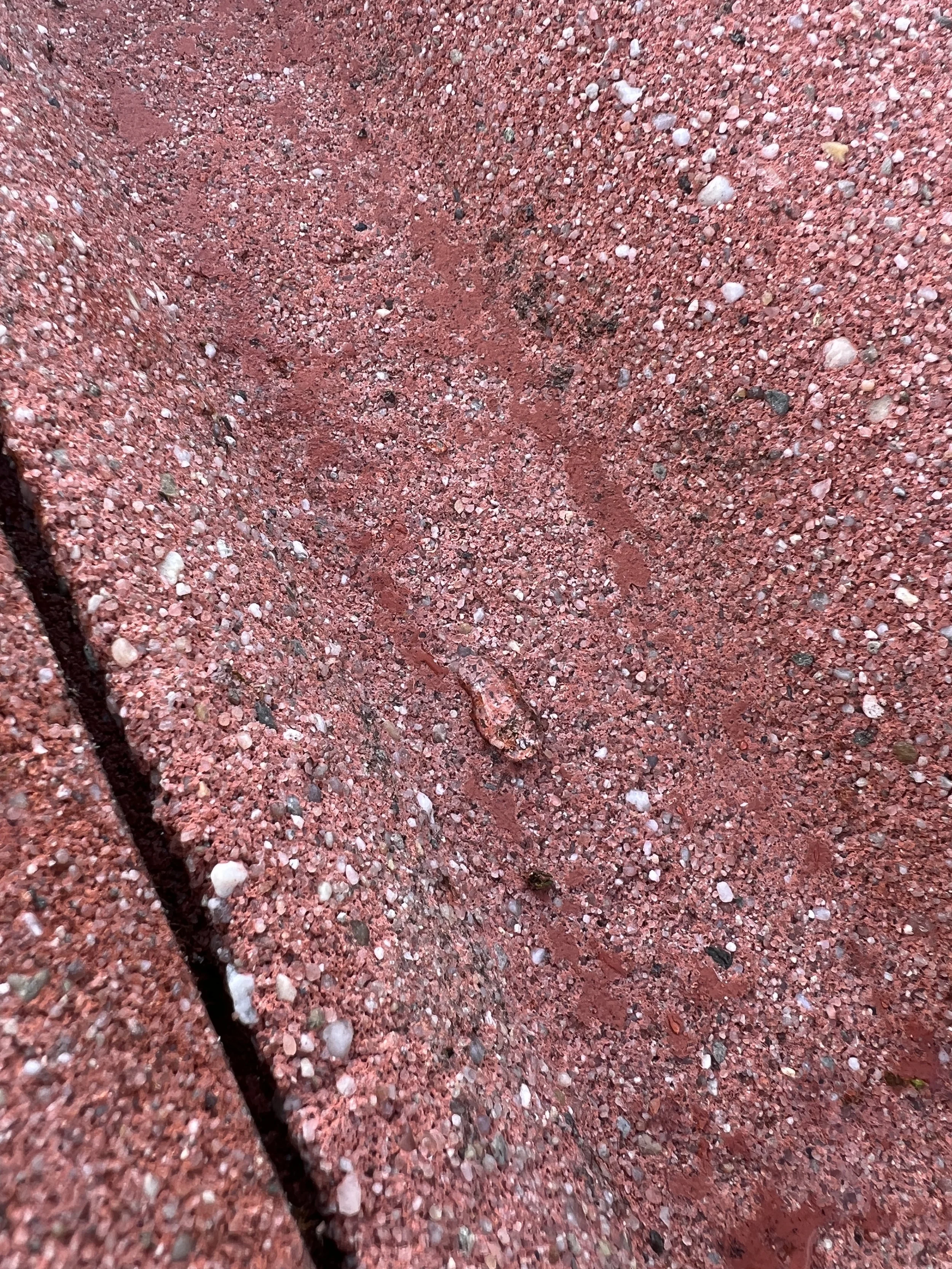 Dichtbij opname van een dakpan die geïmpregneerd werd. De waterdruppels lopen van de geïmpregneerde dakpan af. 