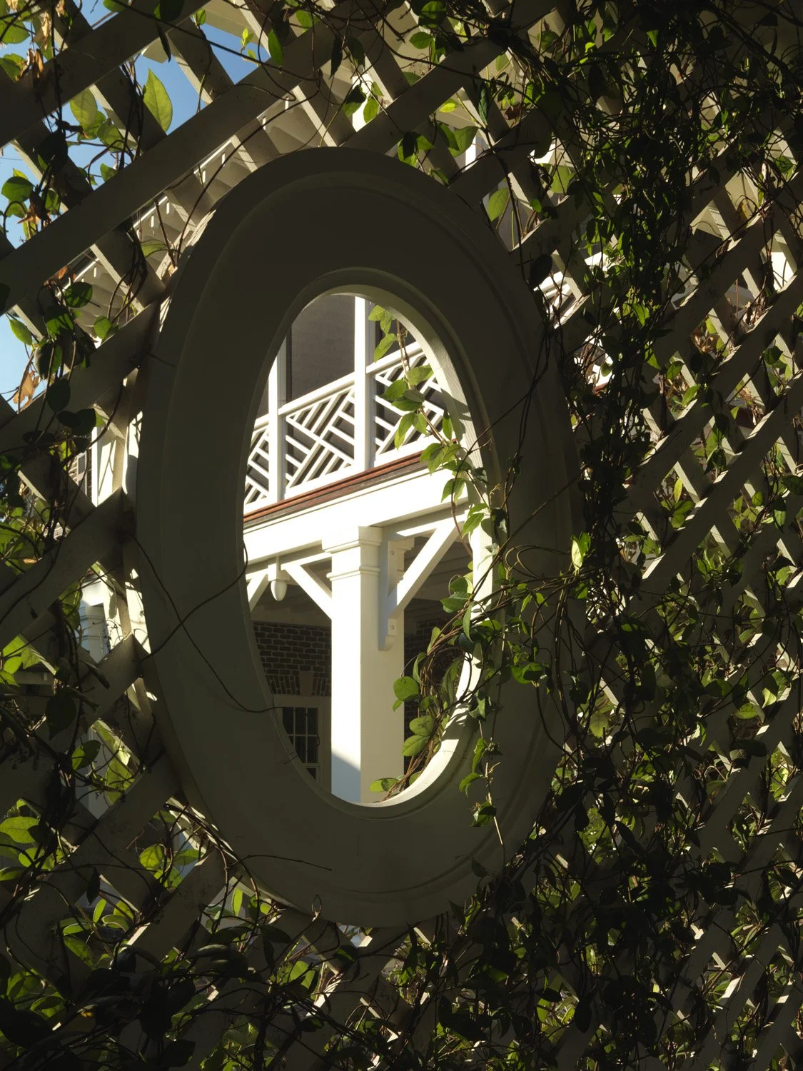 Trellis detail II.jpg