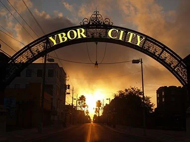 F - YCA_sunburst.jpg