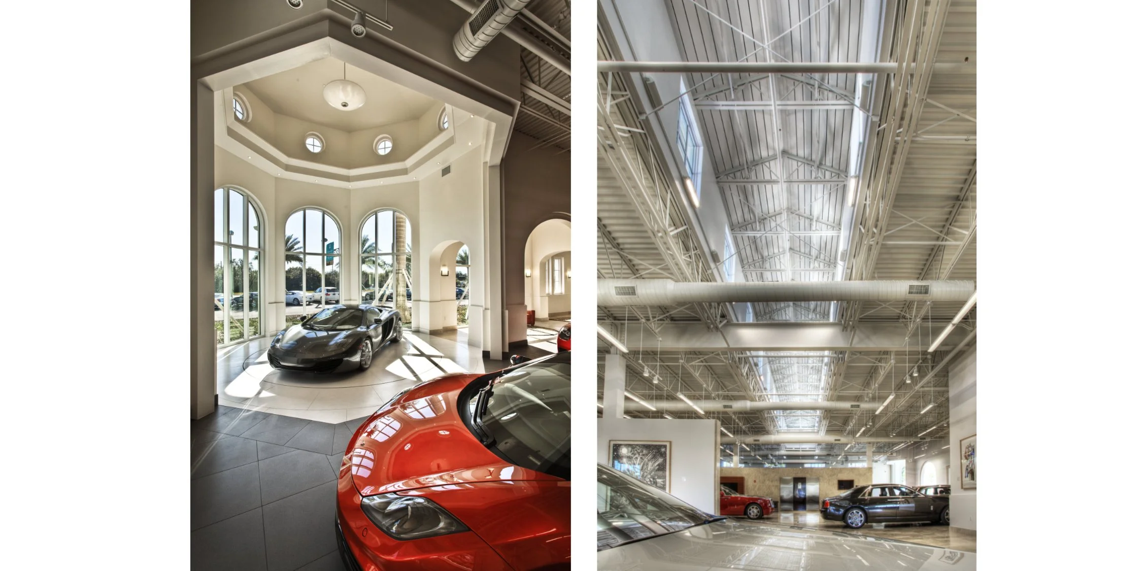 Dimmit double images.jpg