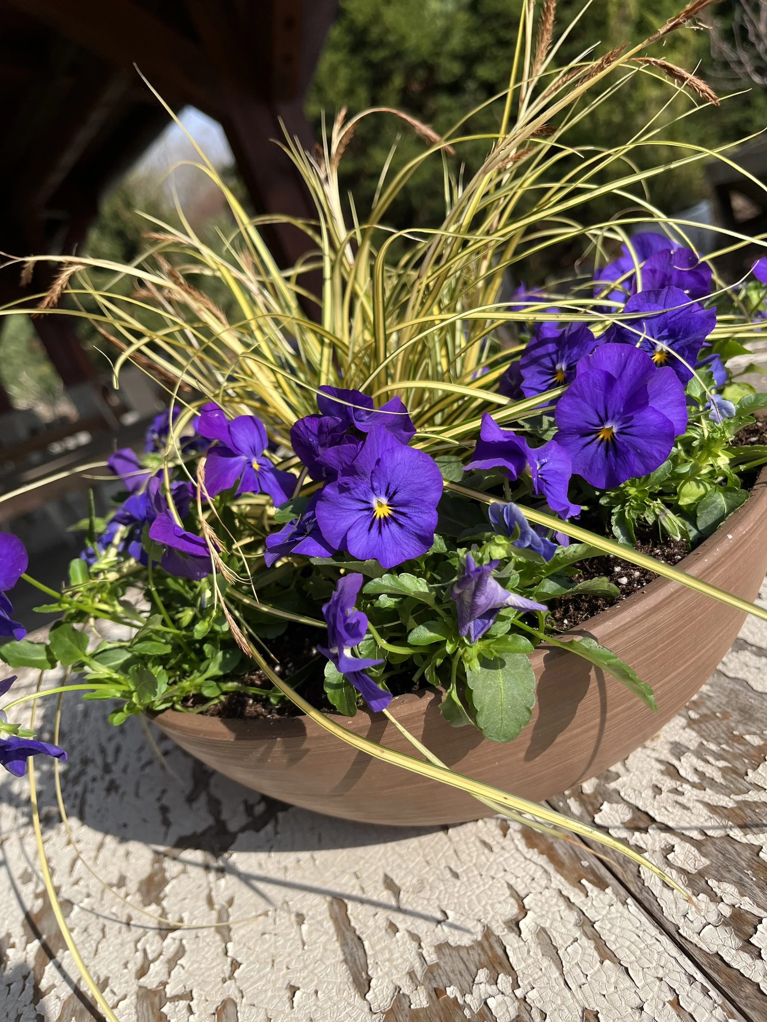 Spring Planter Workshop