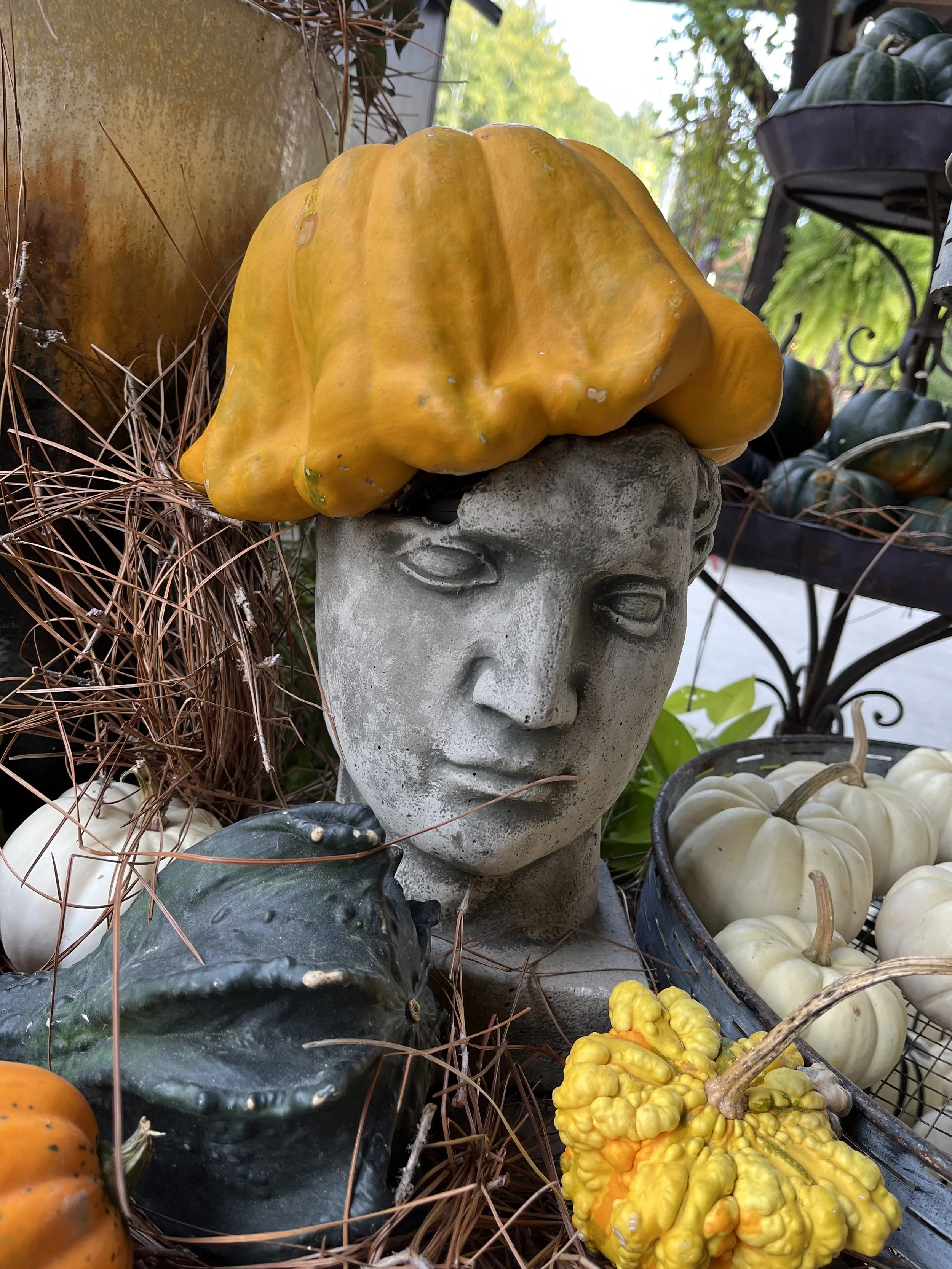 Fall Pumpkins and Decor at Creekside Gardens.jpg