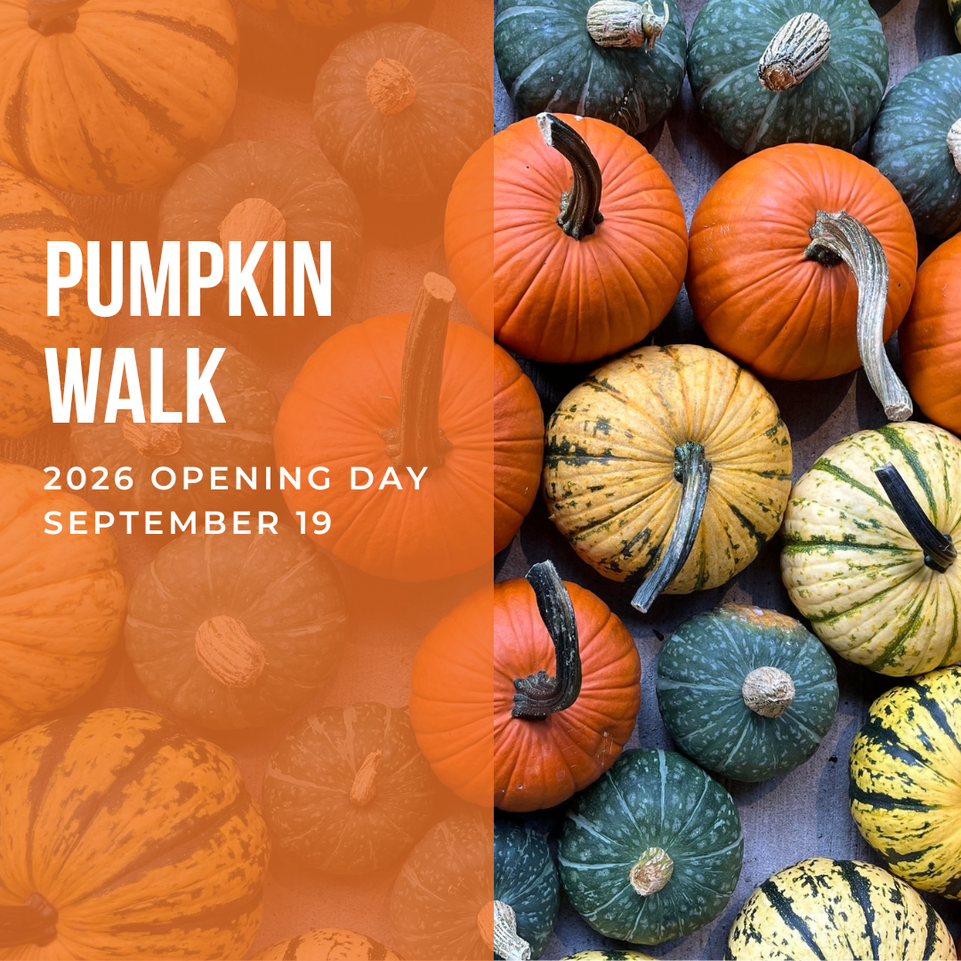 Creekside Main Events Graphics (3).png