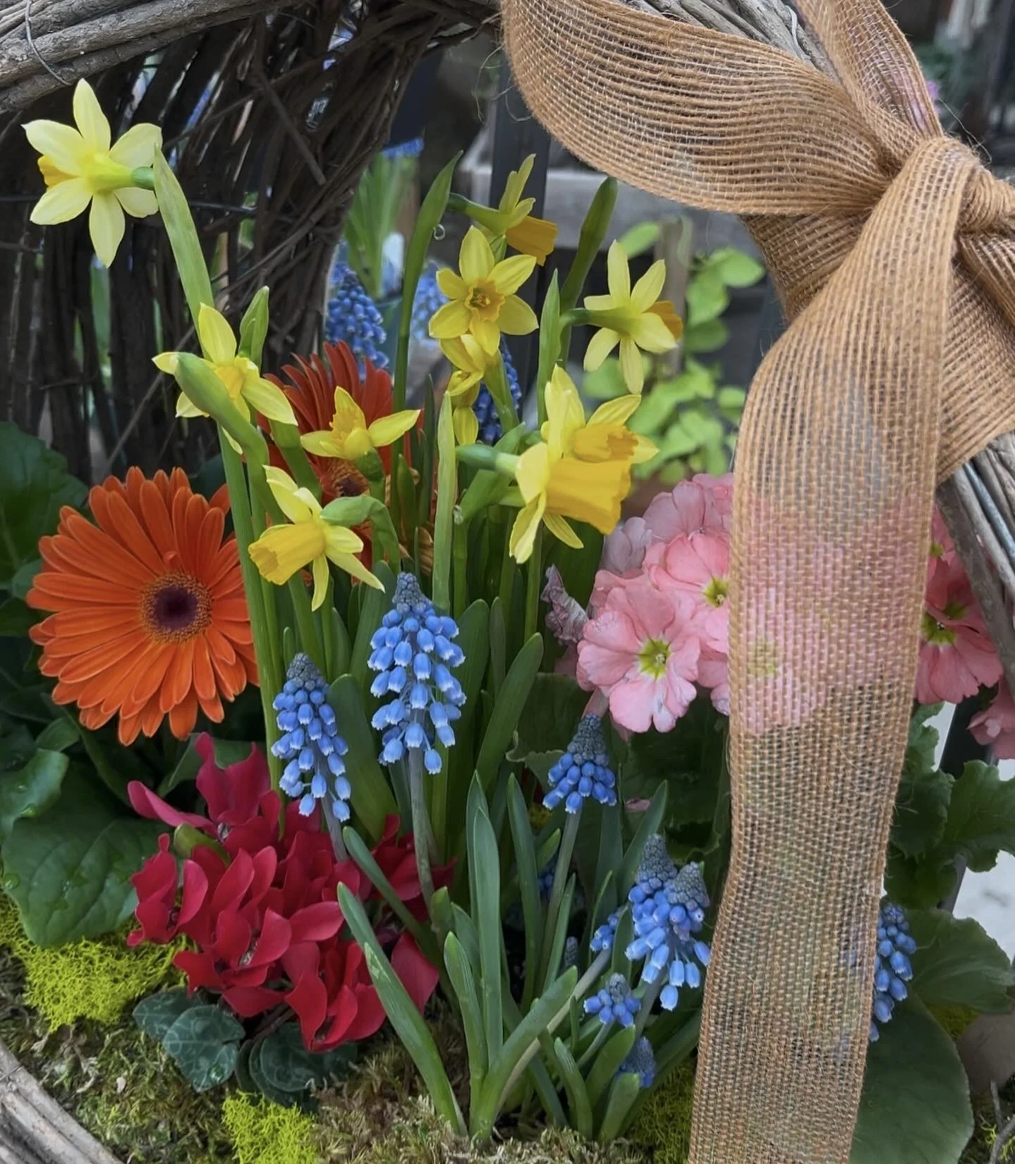 Living Easter Basket Workshop