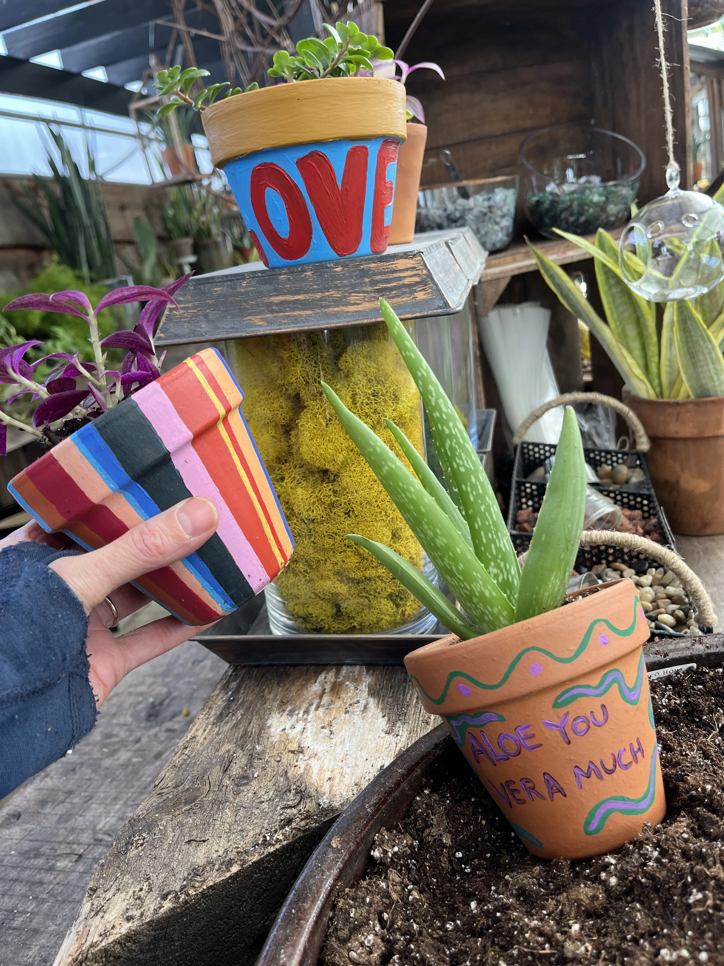 PAINT and PLANT Workshop