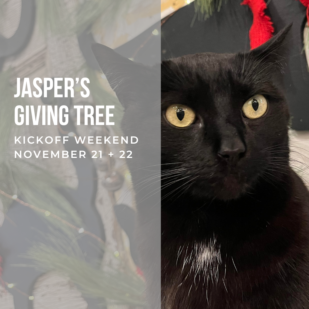 Creekside Main Events Graphics.png