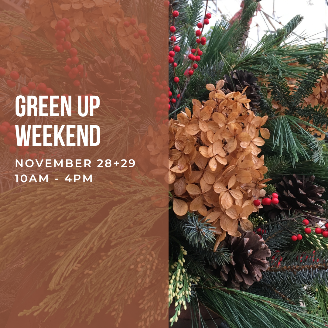 Creekside Main Events Graphics (2).png