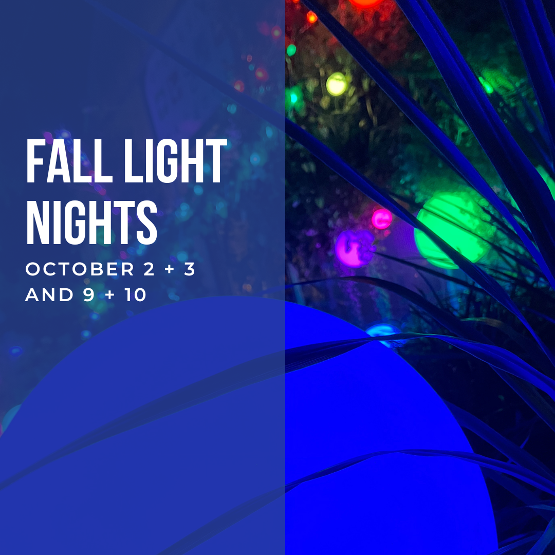 Creekside Main Events Graphics (1).png