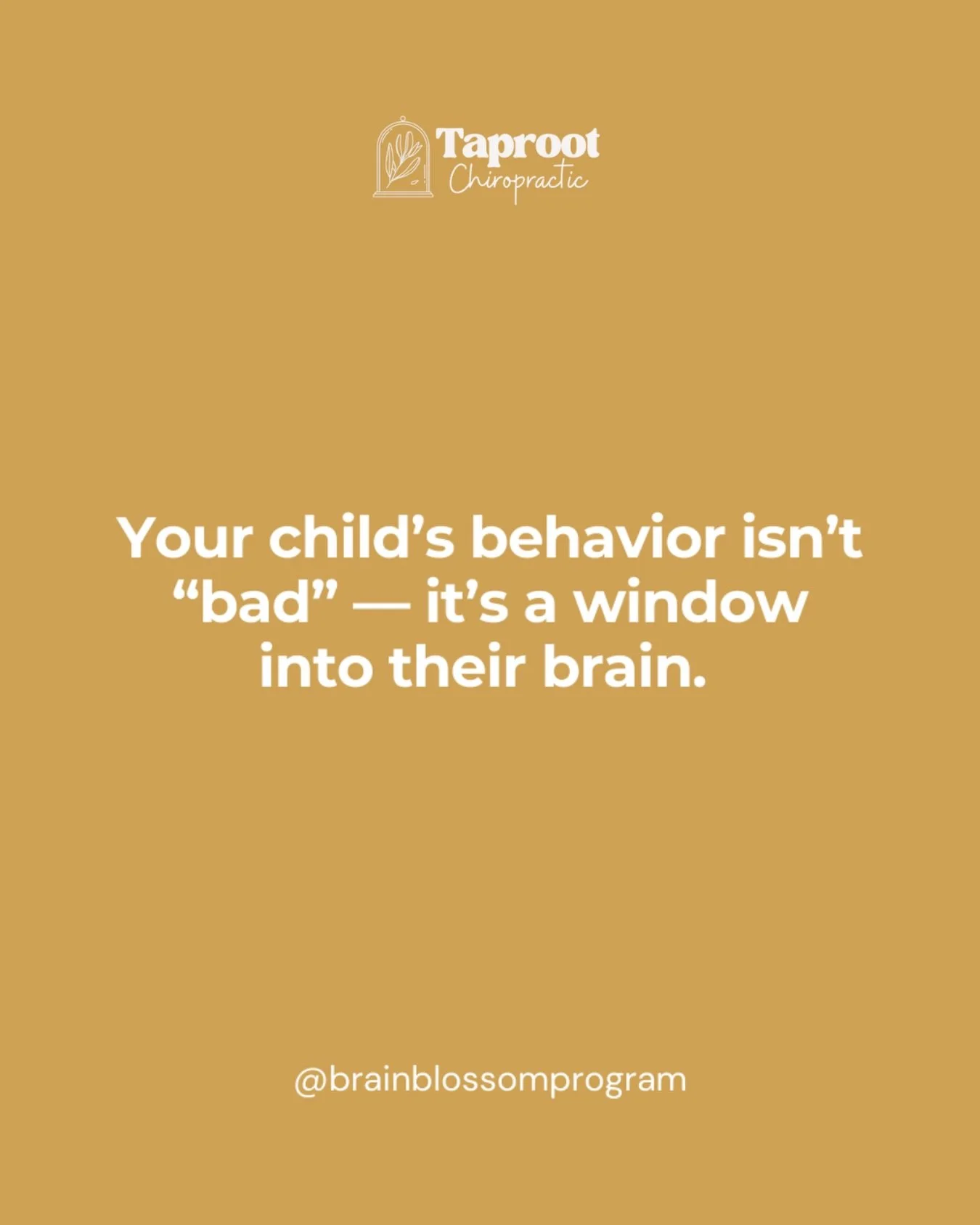 Certain behaviors are typically labeled &ldquo;bad,&rdquo; and if a child presents with &ldquo;bad&rdquo; behaviors, then they must be a &ldquo;bad kid.&rdquo;

👉🏼But the truth is there are NO BAD KIDS!

There is always a reason for behaviors, and 