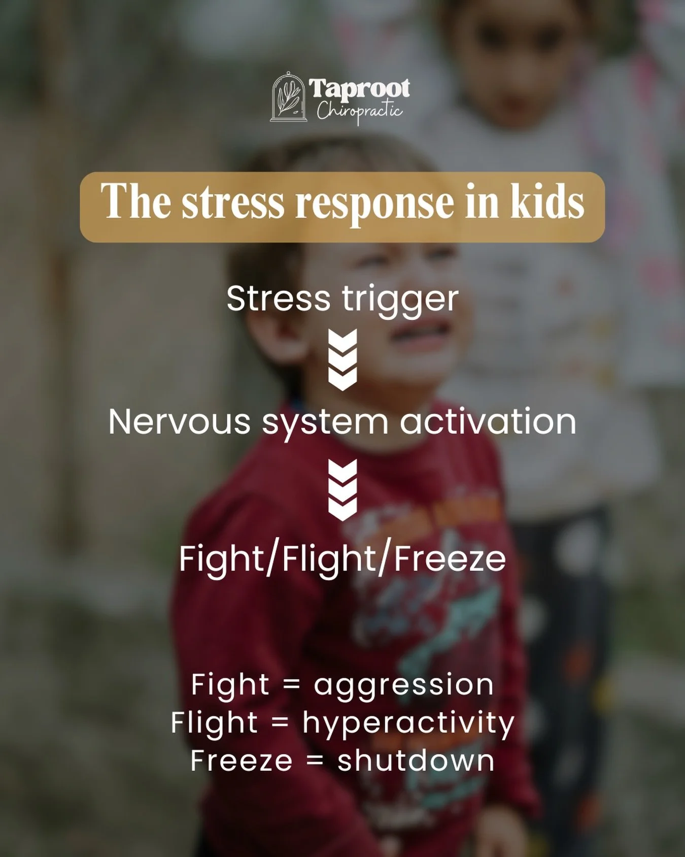 Kids don&rsquo;t always show stress the way adults expect.

When the nervous system senses a stress trigger, it activates a survival response. That response can show up as fight, flight, or freeze.

Fight may look like aggression or defiance.
Flight 