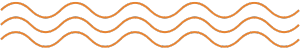 Stylized orange wavy lines.