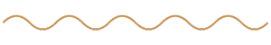 Wavy orange line on a dark background.