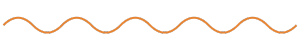A decorative horizontal wavy line.