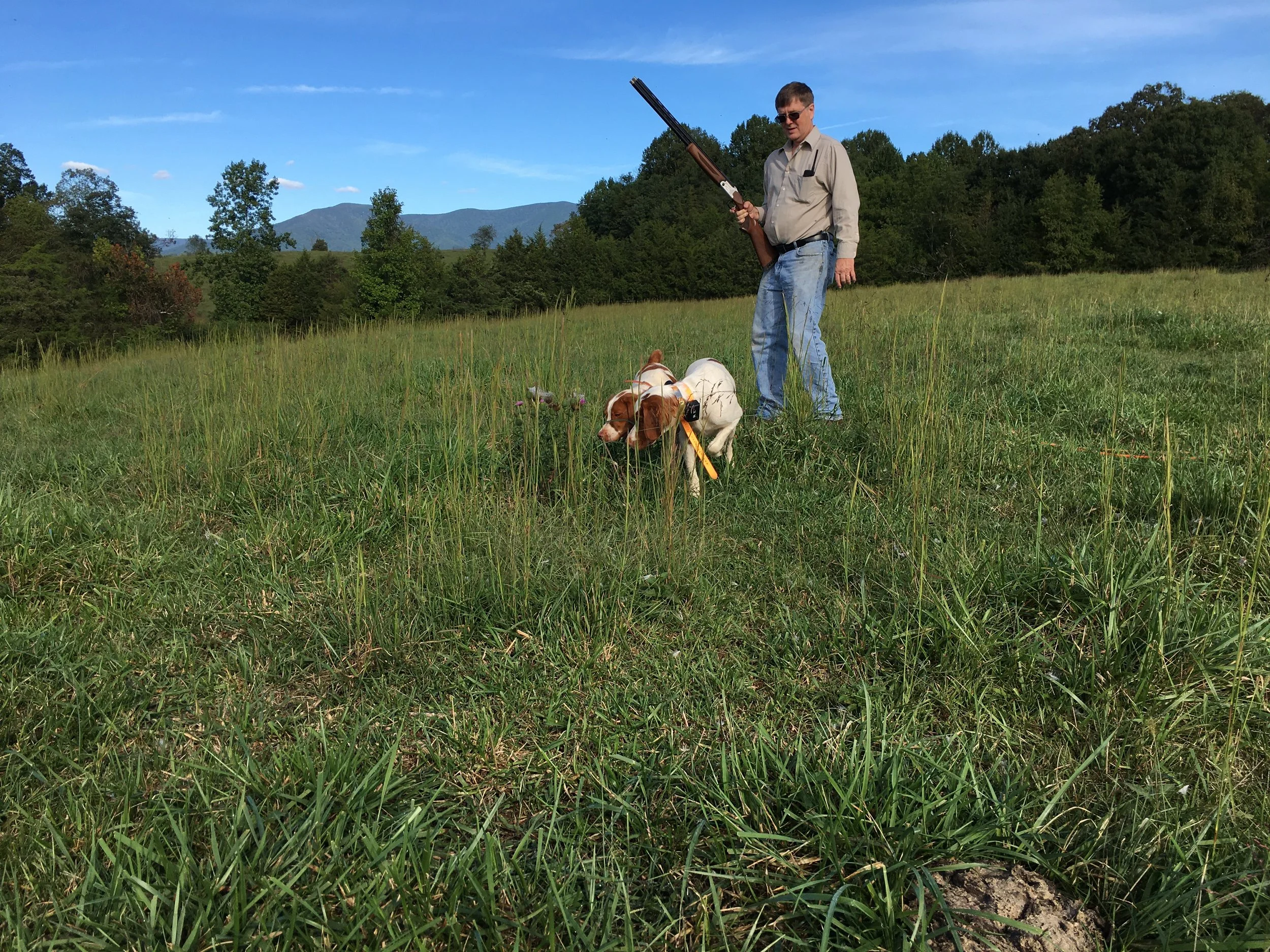 Photo of Russell holding a gun in a green field with two dogs