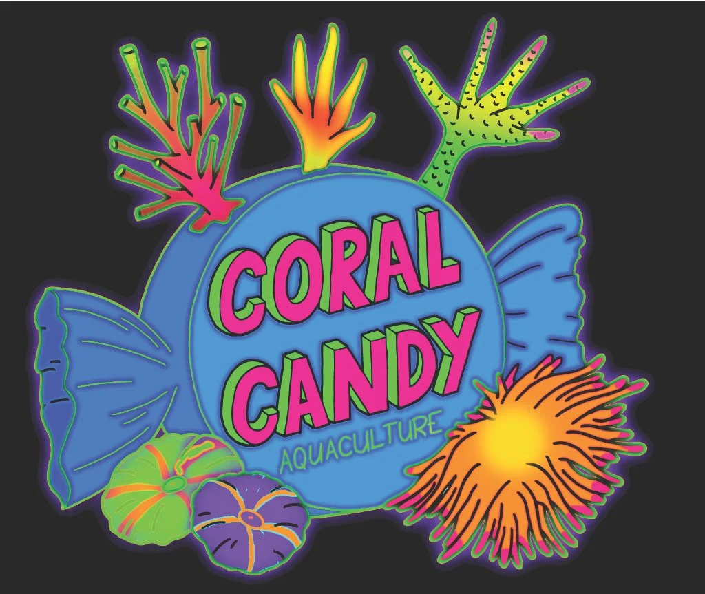   Coral Candy Aquaculture