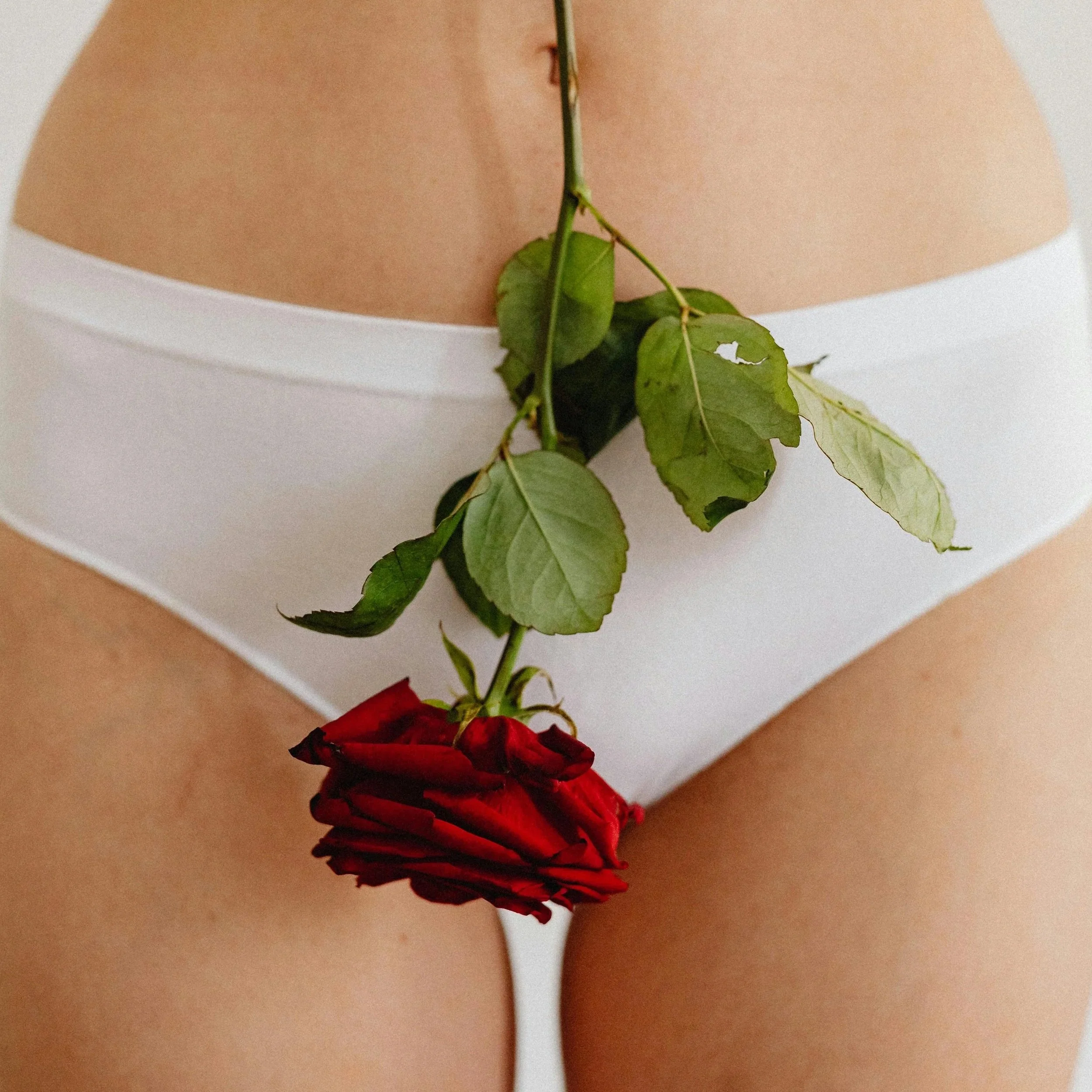 A close-up of a person's lower back with a green vine and red rose placed against their skin.