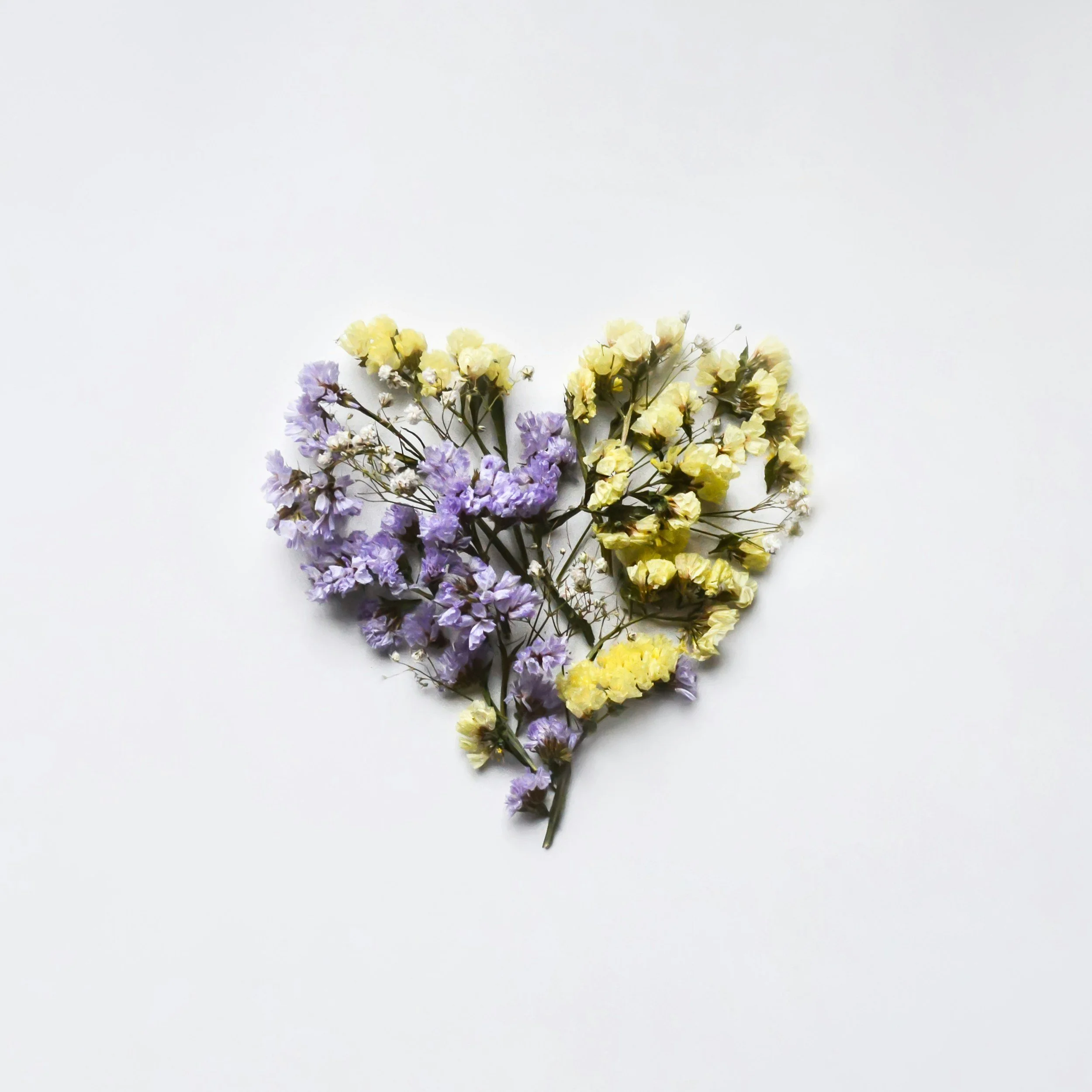Arrangement of purple and yellow small flowers forming a heart shape on a white background.