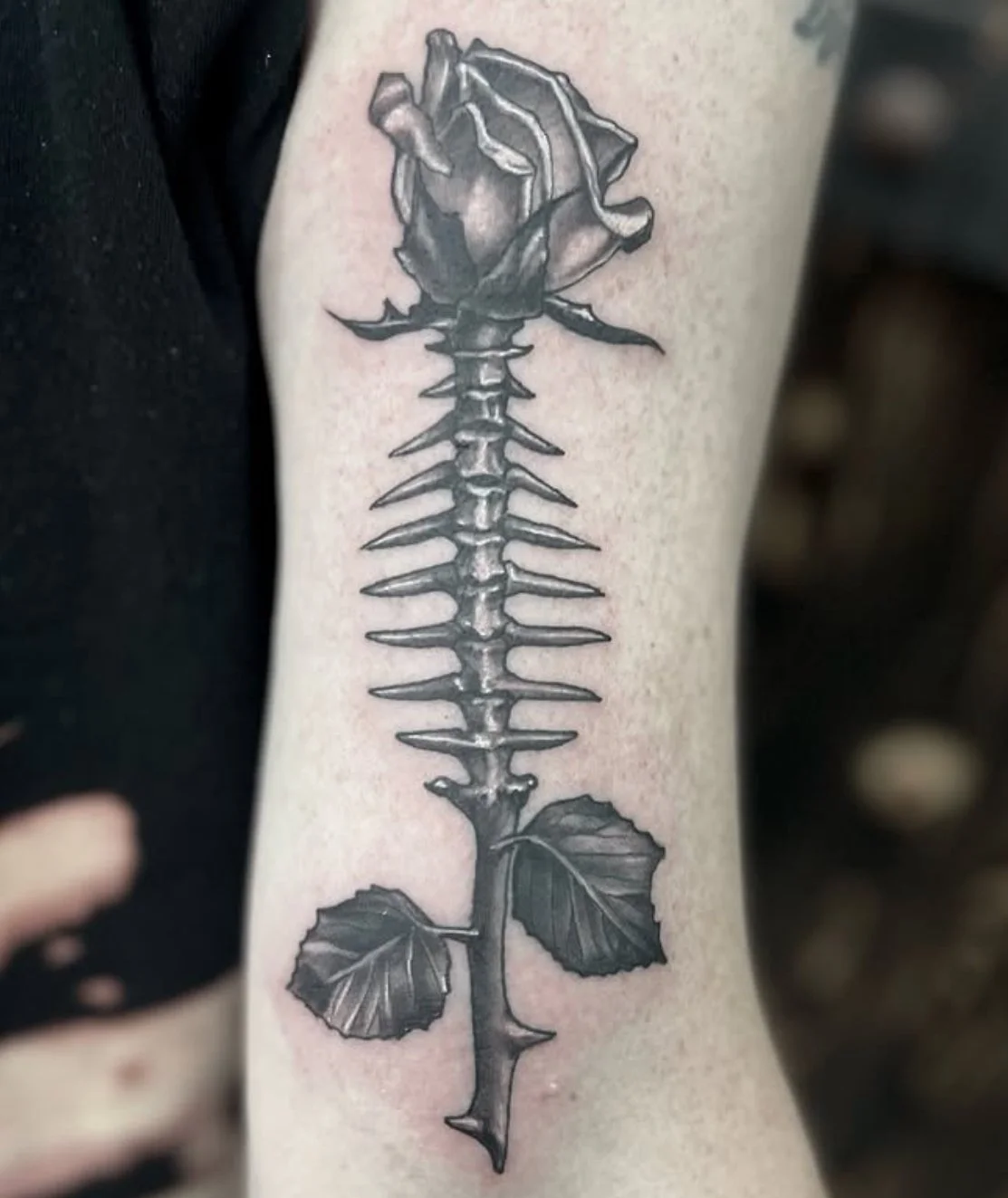Tattoo of a rose with a spine and thorny stem on a person's arm.