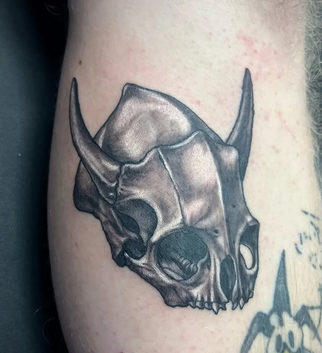 A black and gray tattoo of a detailed animal skull on someone's skin.