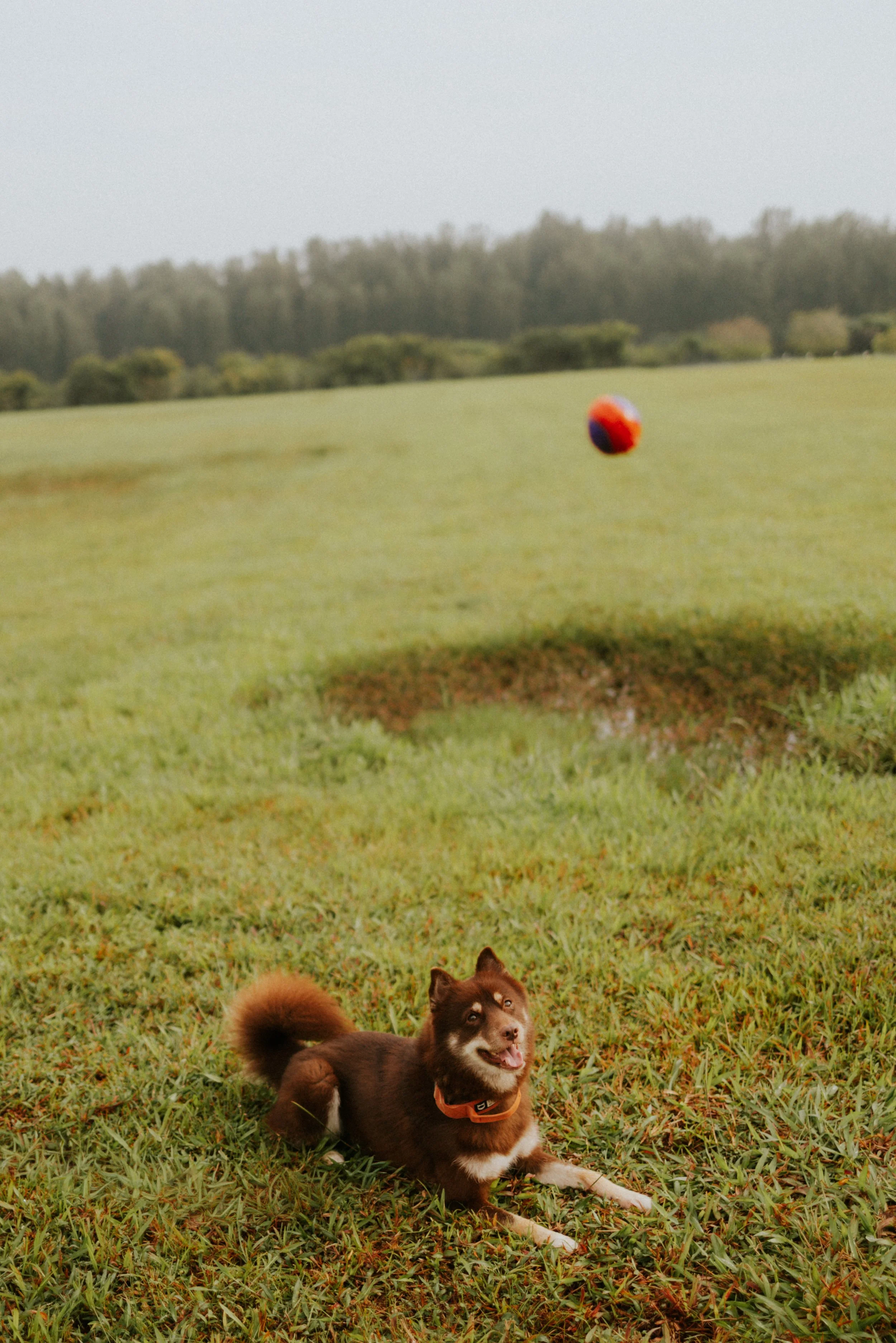 Adriel, Hazel, Kobe, Kygo-33.jpg