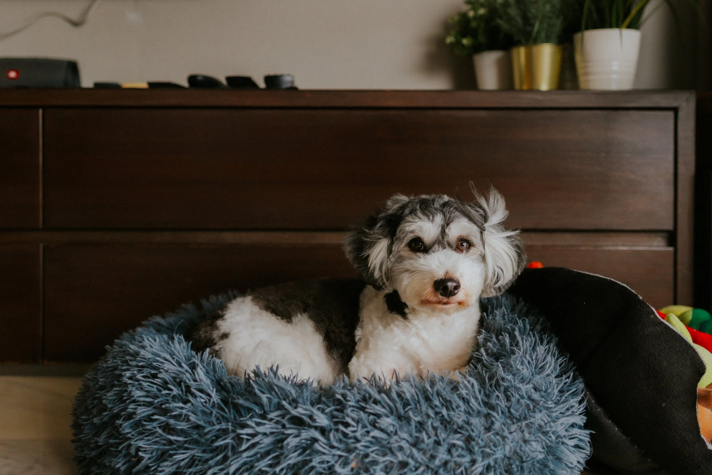 Kyra and Bailey-3.jpg